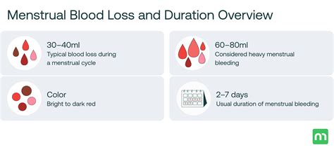 How Much Blood Do You Lose on Your Period? Normal vs. Heavy Flow – Mira Fertility Shop