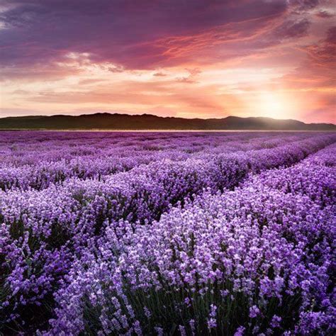 Tennant Funeral Home | Rayville & Bastrop, LA