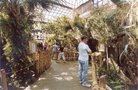 ZooLex Image - Manatee Springs Greenhouse