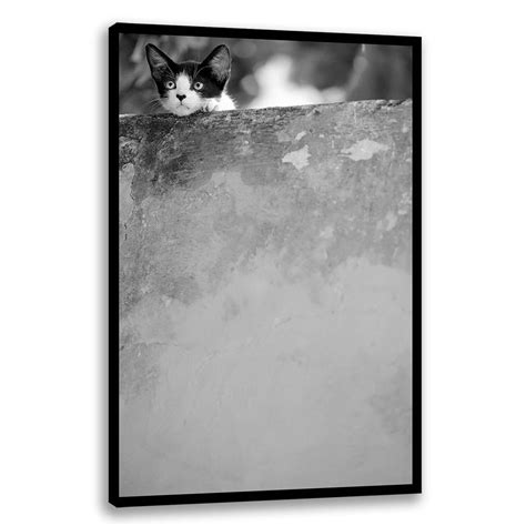 Dreamin 13896 Humor Painting | Harmony Arts | Buy Paintings online ...