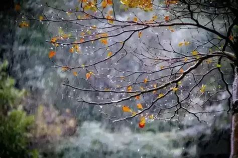 秋风，秋雨，秋又寒_一个人