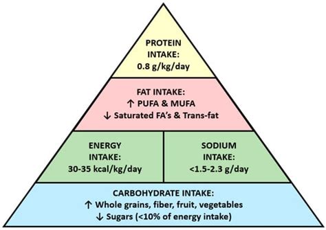 Dietary Approaches in the Management of Diabetic Patients with Kidney ...