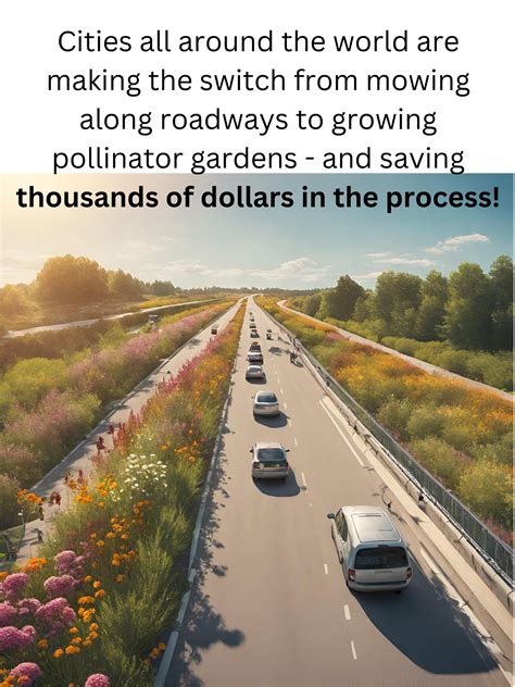 Local Food Movement 的图像结果