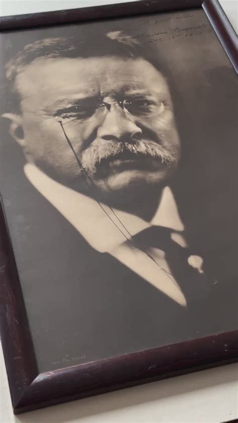 Theodore Roosevelt 的图像结果