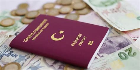 土耳其护照都适合哪些人办理？_乔鸿国际移民