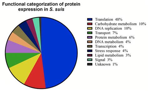 Proteomic Analysis of Streptococcus suis During Exposure to ...