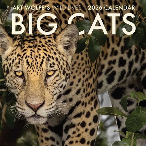 2026 Big Cats Wall Calendar, (Paperback) - Walmart.com