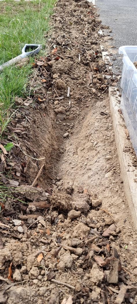 the company responsible for planting the laurels that were here said ...