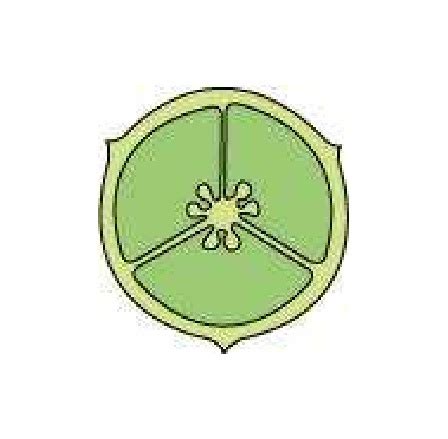 Morphology of Flowering Plants ncert solution class 11 Biology