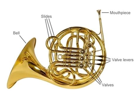 Image result for Orchestra Sections