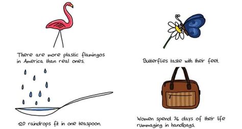 Image result for Super Random Facts