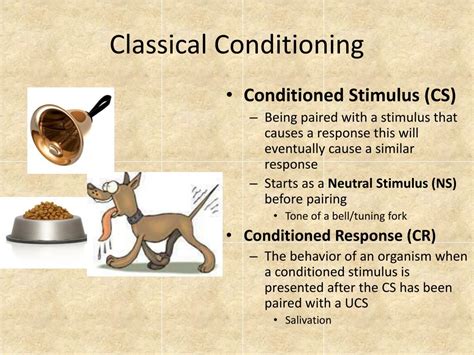 Classical Conditioning Explained 的图像结果