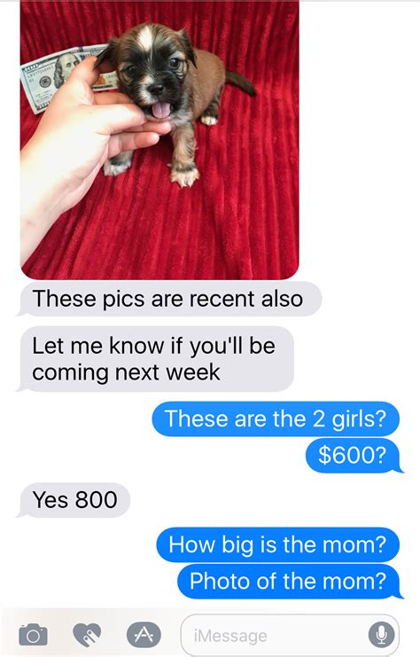 Is Puppyspot A Puppy Mill