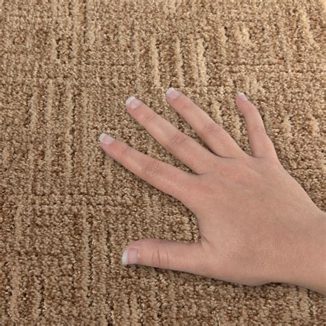 STAINMASTER (Sample) First Class Gray 37.2-oz sq yard Polyester ...