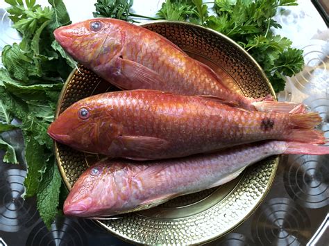 Red Mullet Fish