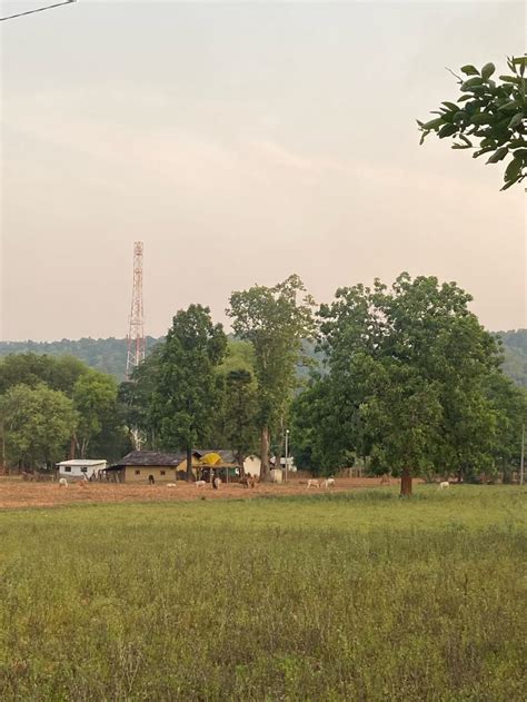 Chhattisgarh: Mobile connectivity changing people's lives in insurgency ...
