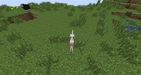 Image result for Minecraft Java Glitch