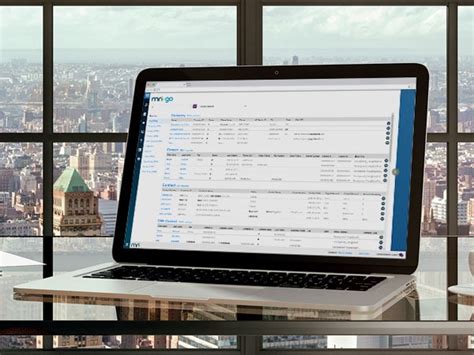 MRI Software Tutorial 的图像结果