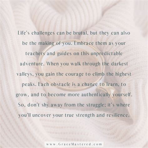 Challenges 的图像结果