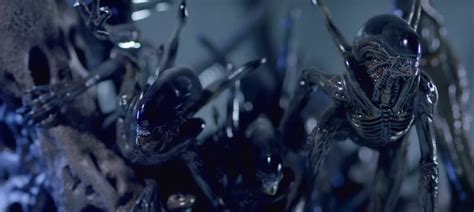 Image result for Alien King