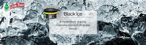 Little Trees Fiber Can Car Freshener Black Ice - 1 Qty (Cont NET 30 g ...