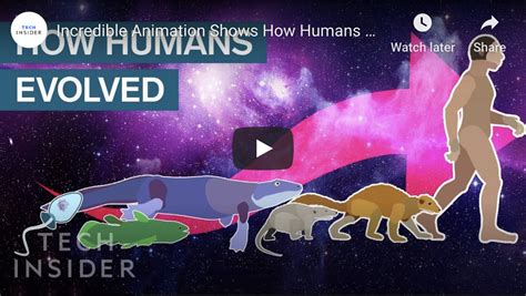 Image result for Evolution Animation