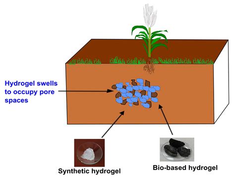 The Impacts of Bio-Based and Synthetic Hydrogels on Soil Hydraulic ...