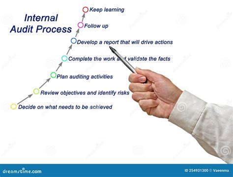 Image result for Internal Audit Process Steps