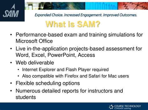 Sam Training 的图像结果