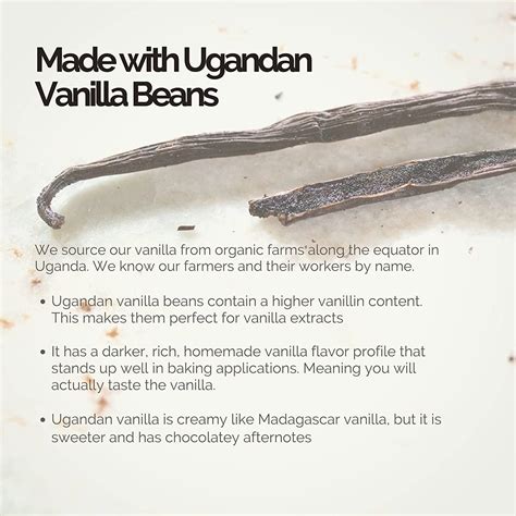 Deluxe Vanilla Bean Paste 128 oz - Bakers Blend Extract with Real ...