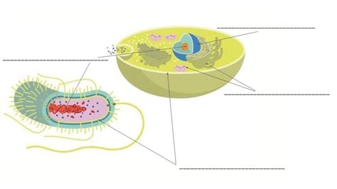 Learning Biology 的图像结果