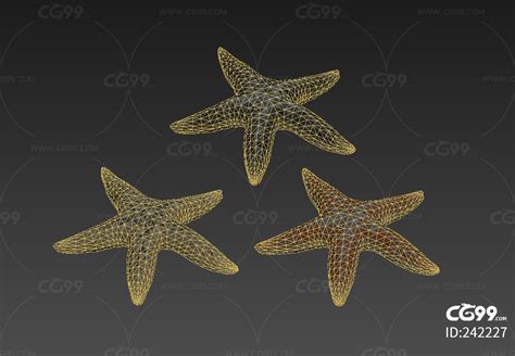 在水下的美丽的海星 库存图片. 图片 包括有 背包, 透明, 表面, 纹理, 下面, 水平, 干净, 海洋 - 88566801