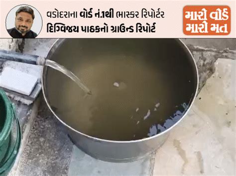 Vadodara Water Woes: Bhupendra Patel Slams Vishwamitri Project; Locals ...