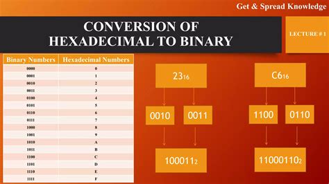 Image result for Basic Number System