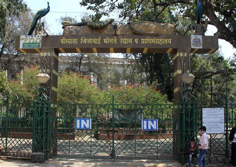 Mumbai: Byculla zoo to get new crocodiles and gharial