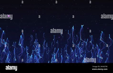 Particle Motion Graphics 的图像结果