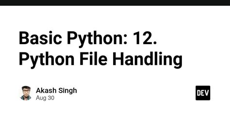 Image result for Python Basic File