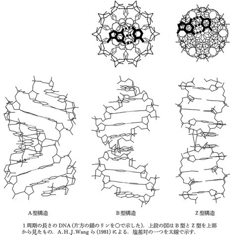 Image result for Loops Definition Computer Science