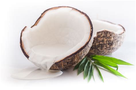Canned Coconut Milk or Coconut Cream: Which is Best for Cooking?