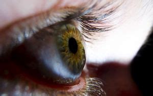 Wallpaper eye, blue-eyed, eyelashes, pupil hd, picture, image