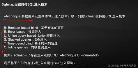 Sqlmap Tutorial Basics 的图像结果