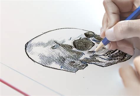 Image result for Skull Drawing Tutorial