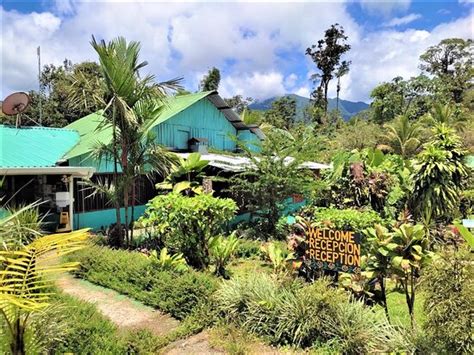 POSADA RIO CELESTE LA AMISTAD (Bijagua de Upala) - Guesthouse Reviews ...