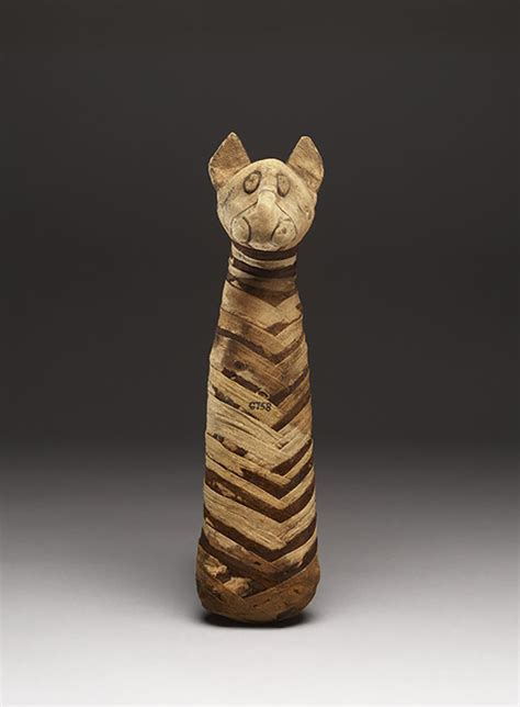 Cats, Lions and the Fabulous Felines of Ancient Egypt — Glencairn Museum