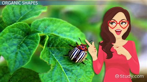 Image result for Sample eLearning Course