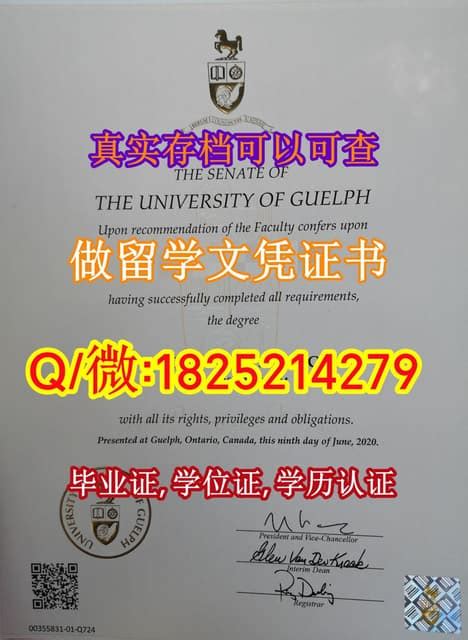 留学生案例《圭尔夫大学学位毕业证书和学士文凭》