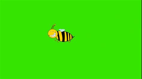 Image result for Free-Flying Bee Video Clips
