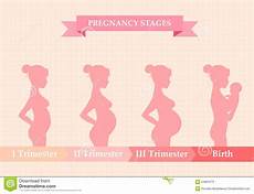 sauna schwangerschaft 1 trimester second and third trimester stock sauna schwangerschaft 1 trimester second and third trimester stock