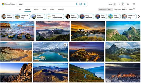 Image result for Bing Images Search Engine