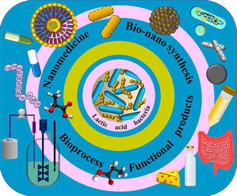 BioChem | An Open Access Journal from MDPI